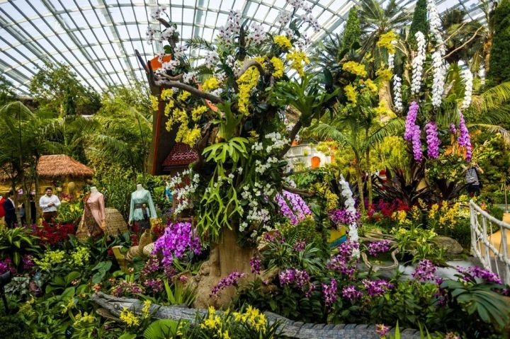 Festival Anggrek Indonesia Meriahkan Gardens by the Bay Singapura, Tampilkan 7.000 Anggrek hingga Instalasi Budaya Nusantara