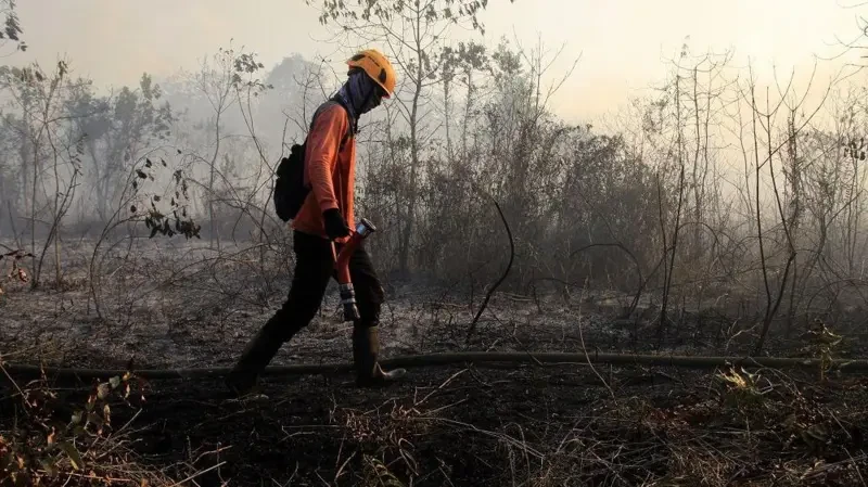 Pemerintah Perkuat Penanganan Karhutla, Titik Api Terdeteksi di Sejumlah Wilayah