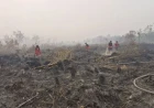 Prabowo Cek Penanganan Karhutla di Kalimantan, Tambah 17 Helikopter dan 1.500 Prajurit TNI