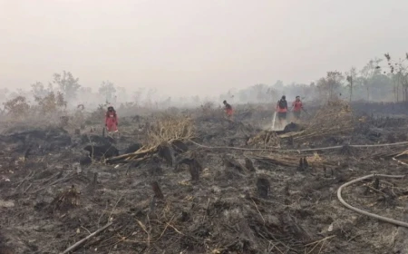 Prabowo Cek Penanganan Karhutla di Kalimantan, Tambah 17 Helikopter dan 1.500 Prajurit TNI