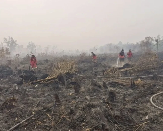Prabowo Cek Penanganan Karhutla di Kalimantan, Tambah 17 Helikopter dan 1.500 Prajurit TNI