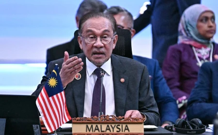 Anwar Ibrahim dan Prabowo Bahas Karhutla Indonesia di Sela KTT BRICS