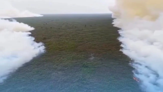 Relawan Pemadam Karhutla Tanjung Puting Mundur, Kemenhut Buka Suara
