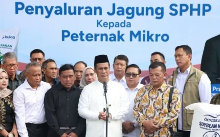 Pemerintah Percepat Distribusi Jagung SPHP, Peternak Bisa Tebus Rp5.000 per Kg