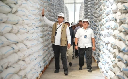 Bulog Serap 4,11 Juta Ton Beras Petani, Lampaui Target Pemerintah 102 Persen