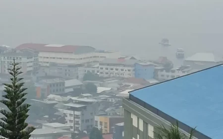 Kabut Asap Selimuti Ambon, Hampir 1.000 Warga Terserang ISPA